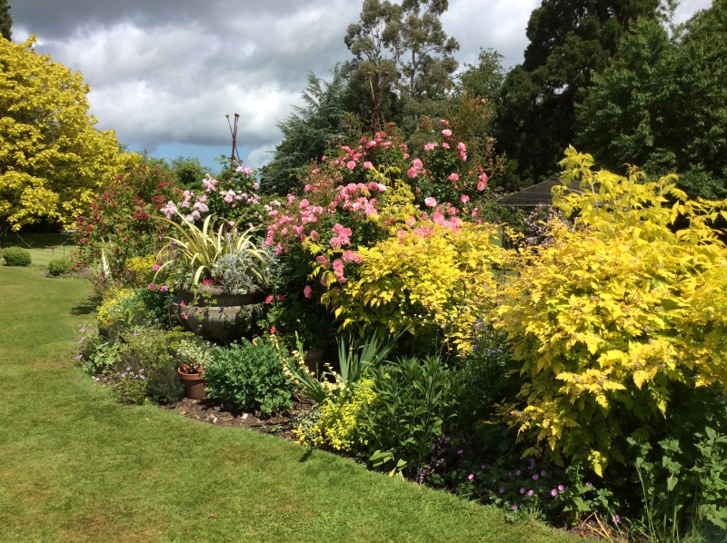 Shillingstone Gardens